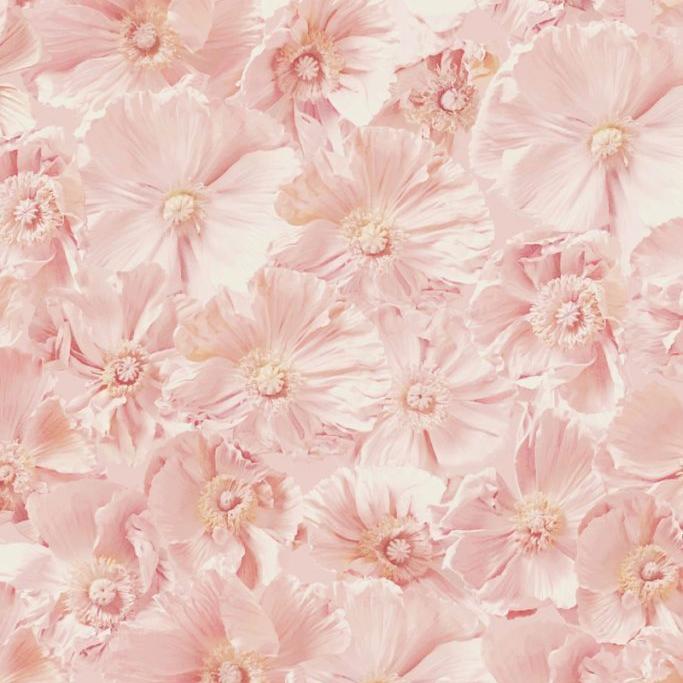 Pink Poppies Wallcovering