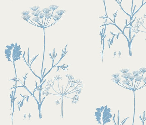 Queens Lace White Dove Cornflower Wallcovering