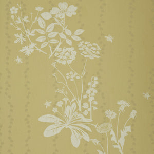 Wild Meadow Dandelion Wallpaper
