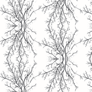 Coral Branchy White Noir Fabric