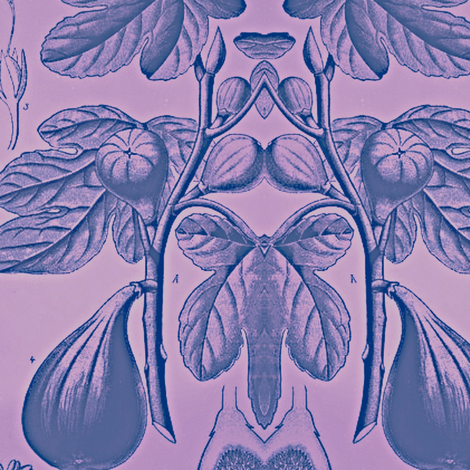 Fig Lavender   Fabric