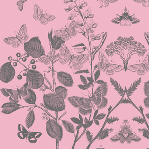 Flutter Pink Fabric