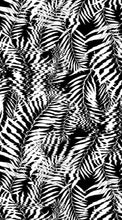Load image into Gallery viewer, Hazy Palm in Black &amp; White