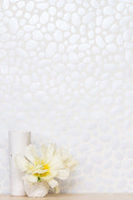 Load image into Gallery viewer, Hoya - Diamonds and Pearls (Pale Silver) on Cream Wallcovering