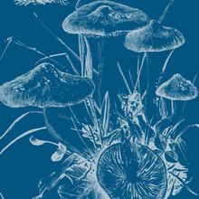 Load image into Gallery viewer, Mushroom Large Cerulean Fabric