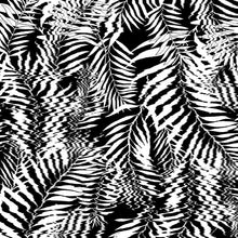 Load image into Gallery viewer, Hazy Palm in Black &amp; White