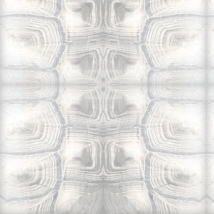 Tortoise Shell Pinkish  Fabric